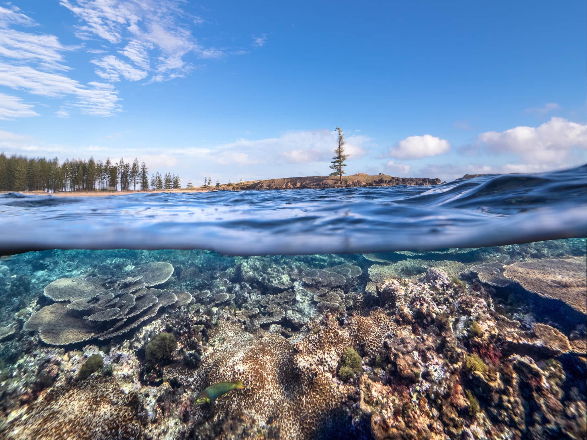 Norfolk Island Travel Centre Tourism B Photos8