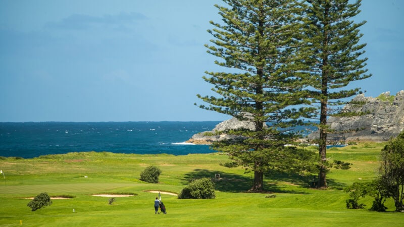 NLK Golf 7