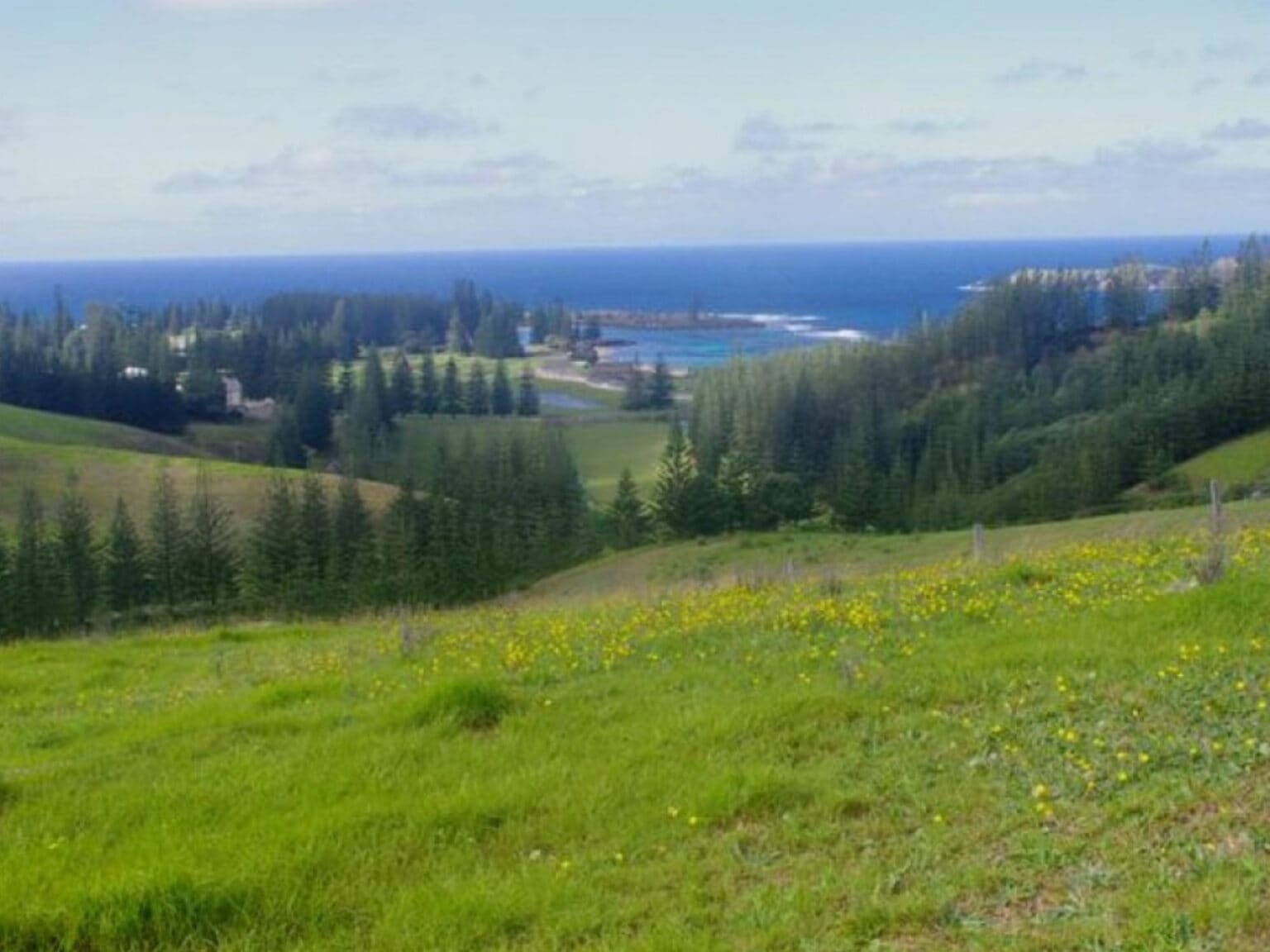 4wd tour norfolk island