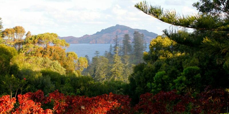 Whitewood Sea Views To Phillip Island (1)